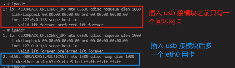 image-20240428101652454